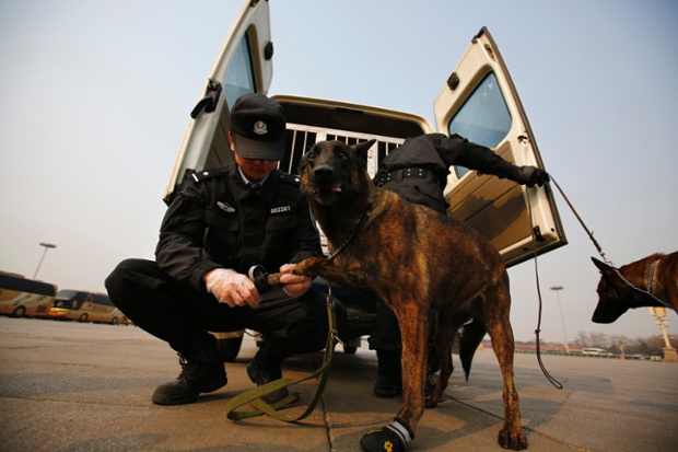 Cảnh sát đi giày cho chó phát hiện thuốc nổ trên quảng trường Thiên An Môn trong thời gian diễn ra kỳ họp Quốc hội thường niên ở Bắc Kinh, Trung Quốc.