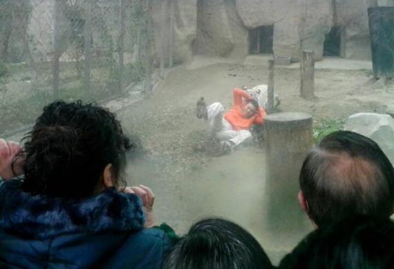 Hổ trắng kéo một người đàn ông trèo vào chuồng của nó trong vườn thú tại Thành Đô, tỉnh Tứ Xuyên, Trung Quốc.
