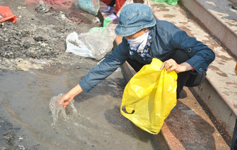 ông Táo, thả cá, rác, hồ Gươm, hồ Tây, phóng sinh