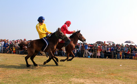 ky sĩ, nông dân, đua ngựa, truyền thống, Phú Yên