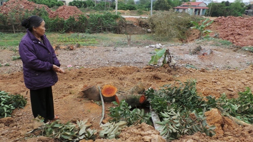 hai anh em, bom xăng, chống lại, đoàn cưỡng chế, Bắc Giang