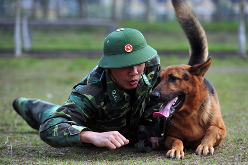 Chó nghiệp vụ - Trợ thủ đắc lực