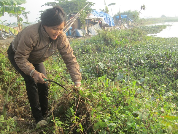 Cuộc sống tần tảo nhưng vẫn không đủ ăn của gia đình chị Hải