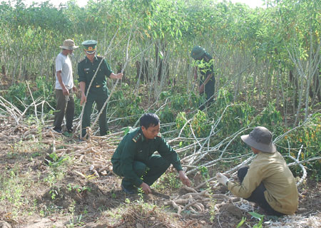 Hướng dẫn kỹ thuật nông nghiệp cho người dân vùng cao