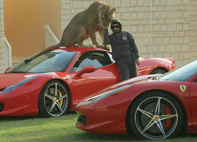 Đại gia Trung Đông với thú chơi siêu xe và... sư tử 24