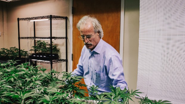 
	Ông Donald Andrews đang kiểm tra cây cần sa trồng trong một phòng chuyên dụng của trung tâm LoDo Wellness. Ảnh: CNN.