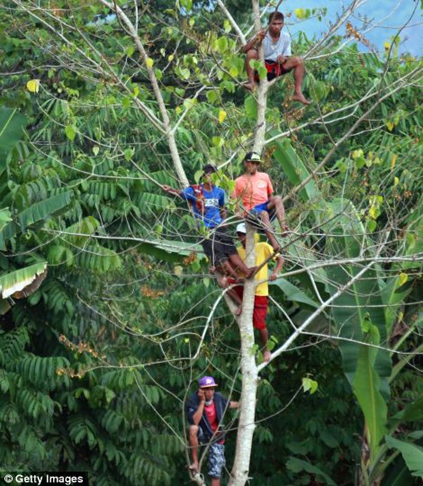 Kinh hoàng với cuộc thi đấu ngựa đẫm máu tại Philippines 3