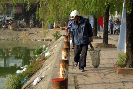 cá chép, tiễn ông Táo, thả cá, vớt