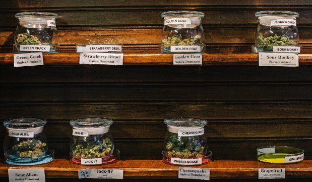 
	Nhiều loại cần sa được trưng bày tại cửa hàng Evergreen Apothecary. Ảnh: CNN.