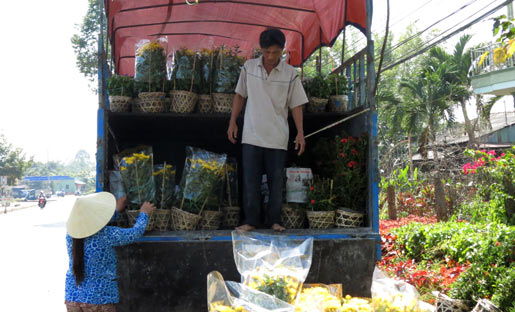 làng hoa, Sa Đéc, Đồng Tháp