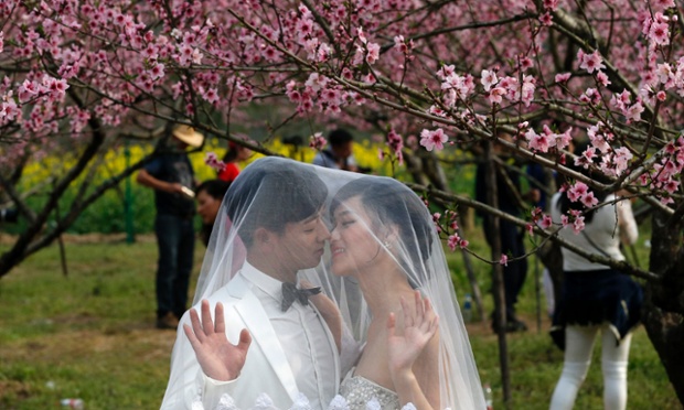 Một cặp đôi chụp ảnh cưới dưới hoa anh đào trong công viên ở Ôn Châu, Trung Quốc.
