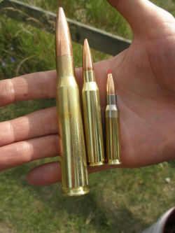 Từ trái qua: đạn 12,7mm; 8,6mm; và 7,62mm NATO