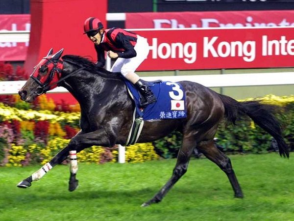 Câu lạc bộ đua ngựa tại Singapore: ảnh nomadify.me
