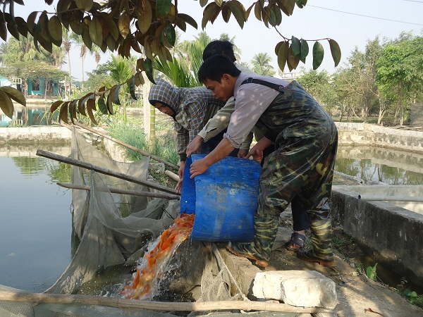 
	Cuộc sống của người dân trong làng chủ yếu dựa vào nghề nuôi và buôn bán cá giống.