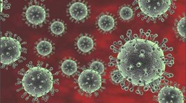 Việt Nam đã có người chết vì nhiễm cúm A/H5N1