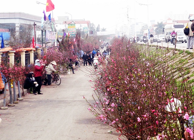 
	Hoa đào tràn ngập hai bên đường vào chợ.