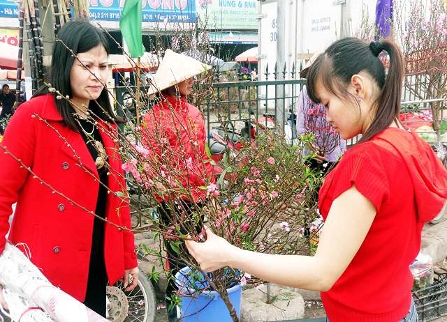 
	Dù còn chục ngày nữa mới đến Tết nhưng chợ hoa đã rất tấp nập