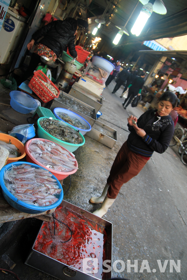 
	Tại các chợ đầu mối ở Hà Nội, những chậu cá chép đông đúc đợi người mua.
