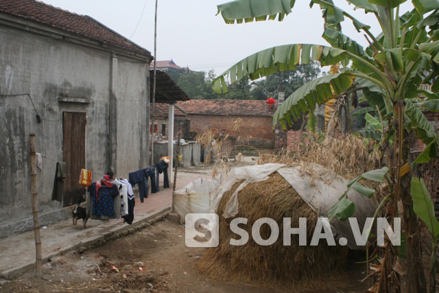 Ngày 25/1, đoàn từ thiện của chúng tôi đã báo trước sẽ đến thăm nhà, nhưng vợ chồng anh Nguyễn Văn Thành (SN 1963, trú tại thôn Ngự Tiền, xã Thanh Lâm, huyện Mê Linh, TP. Hà Nội) đi bán tăm vắng.Chúng tôi đang về rồi, bảo mọi người chờ một chút - đó là lời nhắn của vợ chồng anh Thành sau cú điện thoại thông báo của ông Nguyễn Anh Hùng - Chủ tịch Hội người mù huyện Mê Linh.