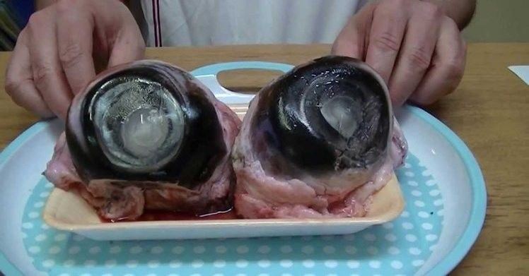 21 món ăn 'kinh dị' nhất thế giới mà không phải ai cũng dám thử