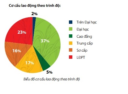 Làm việc tại công ty ông Đặng Văn Thành được trả lương bao nhiêu? - Ảnh 1.