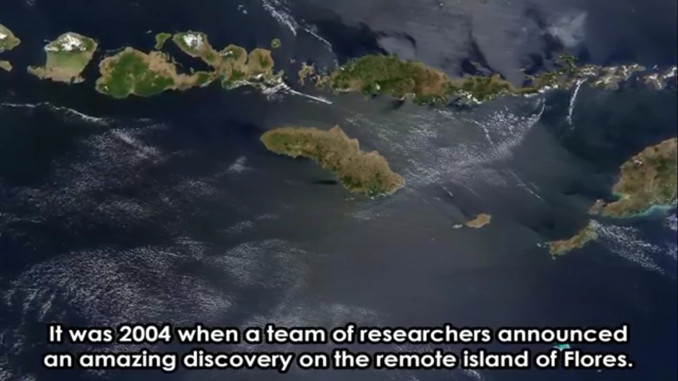   Năm 2004, một đội nghiên cứu thông báo một khám phá tuyệt vời của họ trên hòn đảo hẻo lánh của Flores.  