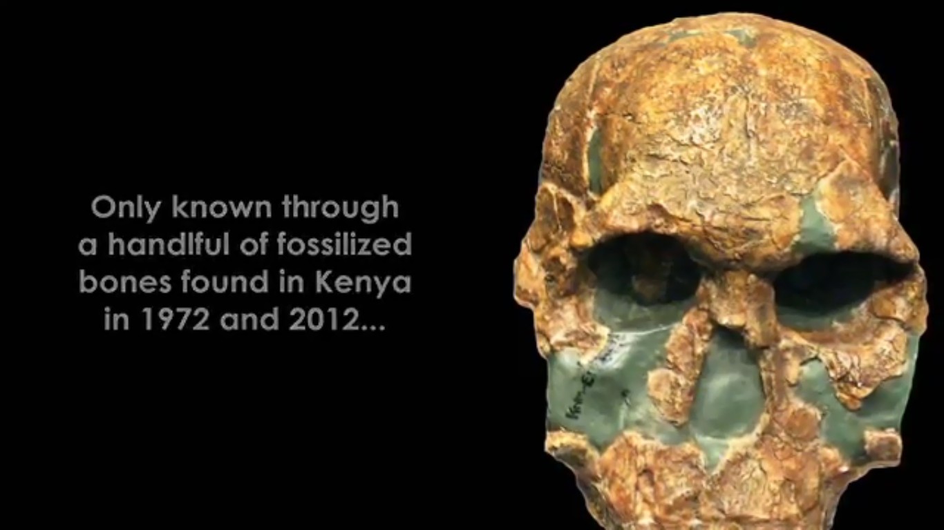 Đó là bằng chứng cho thấy một giống người mới thuộc chi Homo đã sống cùng thời với người  Homo erectus  và  Homo habilis .Homo rudolfensis có bộ não lớn hơn và khuôn mặt phẳng hơn Homo habilis.