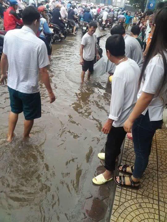 Hàng chục người cầm rổ vồ cá trê nặng hàng cân giữa phố Hà Nội - Ảnh 2.