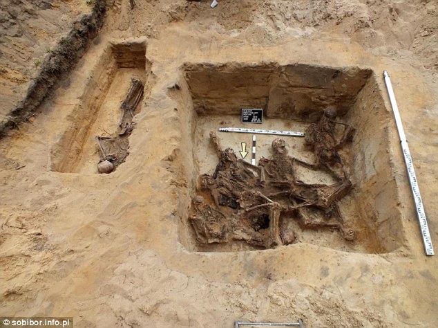 Các nhà khảo cổ khám phá ra bí mật khủng khiếp của Hitler - Ảnh 14.