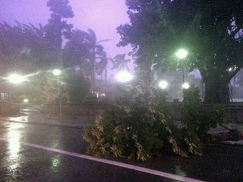 Cơn bão số 1: Gió giật cấp 8-10, HN nhiều cây đổ, đường tắc nghẽn - Ảnh 11.