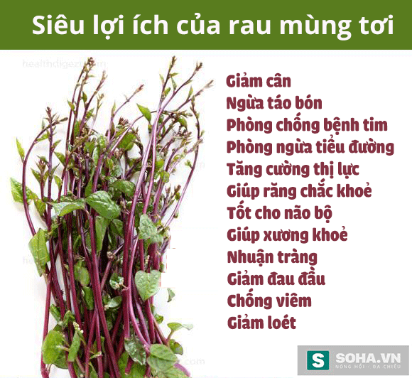 Siêu lợi ích không ngờ của rau mồng tơi - Ảnh 2.