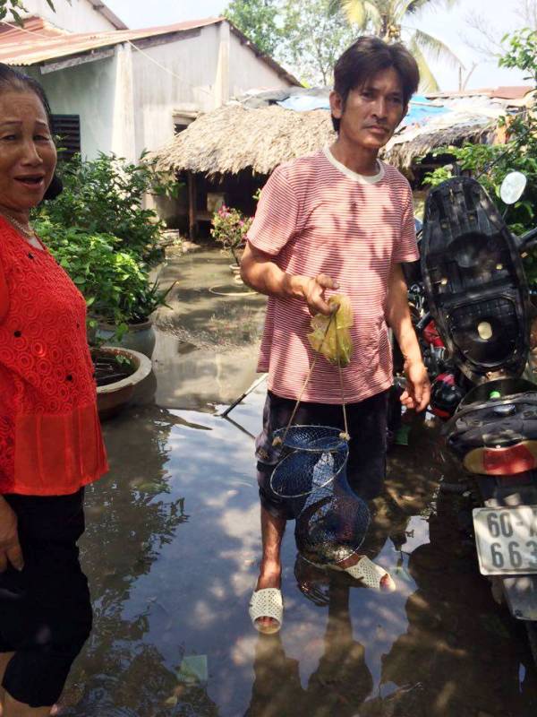 [ẢNH] Vỡ bờ bao ở Sài Gòn, người trồng mai mùa Tết khóc ròng - Ảnh 10.