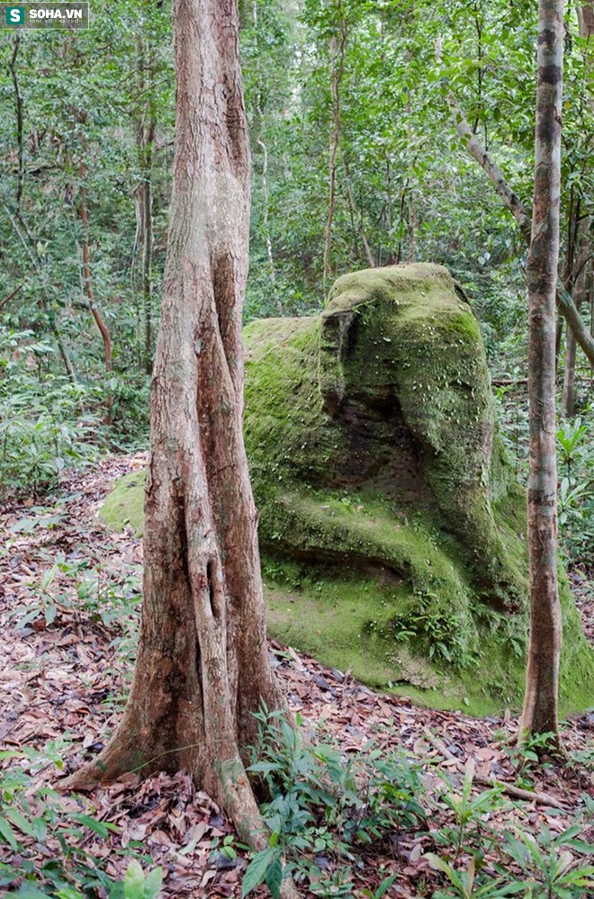 Phát hiện tàn tích thành phố cổ trong rừng sâu ở Campuchia - Ảnh 1.