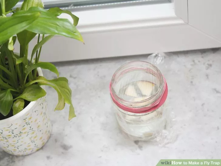 Tự chế bẫy ruồi đ&aacute;nh đ&acirc;u tr&uacute;ng đ&oacute; chỉ từ 1 chiếc chai nhựa! - Ảnh 17.