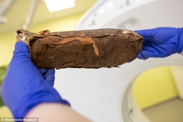 Phát hiện bất ngờ đến khó tin bên trong xác ướp 2.300 năm tuổi - Ảnh 1.