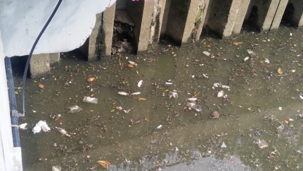 Rác thải, xác cá lại nổi đầy trên kênh Nhiêu Lộc - Ảnh 2.