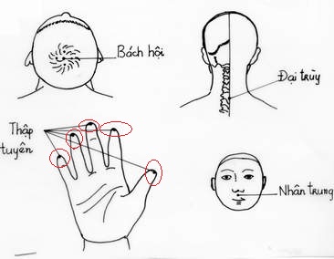 Lăn đũa trên tay, đánh bay bệnh tật! - Ảnh 3.