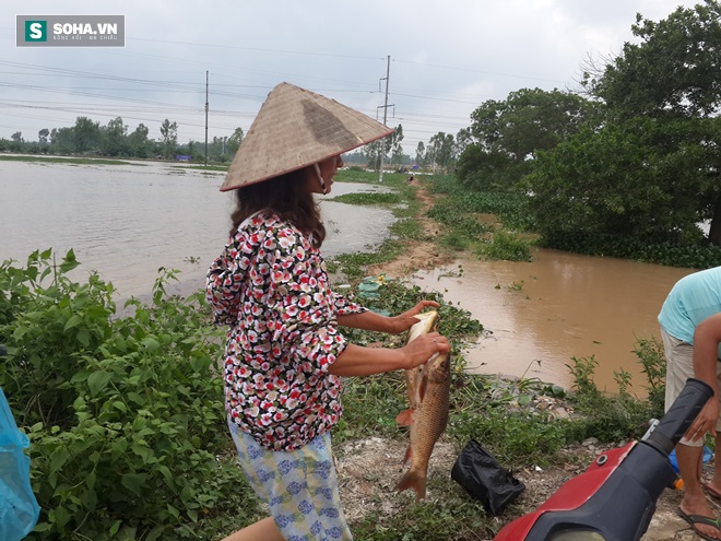 Đổ xô bắt cá sau ngập nặng ở Hà Nội, nhiều người kiếm tiền triệu - Ảnh 9.