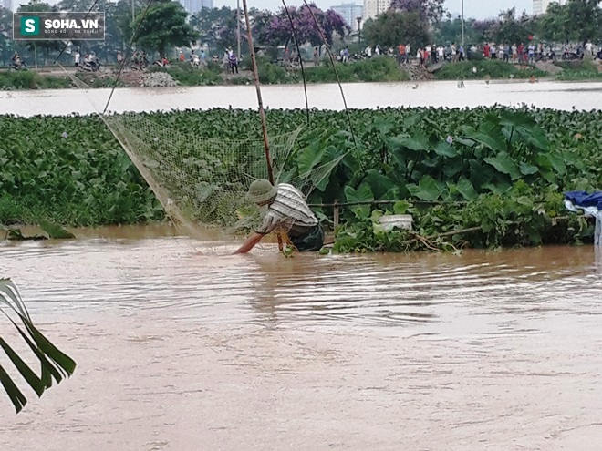 Đổ xô bắt cá sau ngập nặng ở Hà Nội, nhiều người kiếm tiền triệu - Ảnh 4.