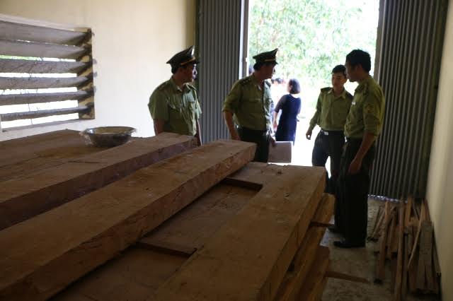 Quảng Bình: Giám đốc sở trữ gỗ lậu ở cơ quan - Ảnh 1.
