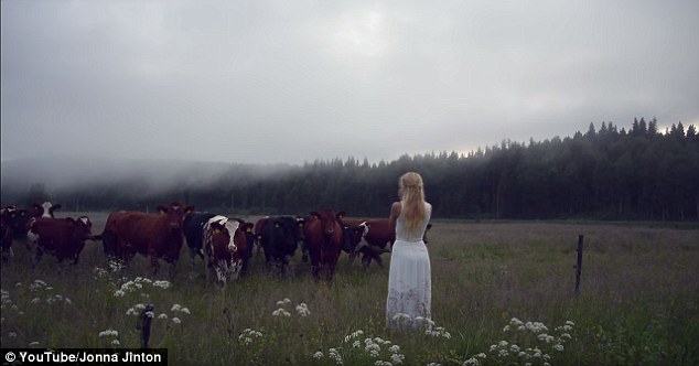 Cô gái trẻ cất tiếng hát, cả đàn bò đổ dồn lại lắng nghe - Ảnh 3.