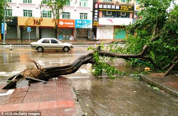 Ra đường trong cơn bão, người đàn ông bị gió thổi bay hơn 10 mét - Ảnh 5.