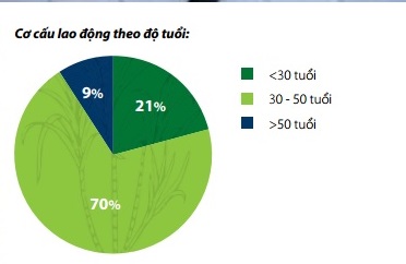 Làm việc tại công ty ông Đặng Văn Thành được trả lương bao nhiêu? - Ảnh 3.