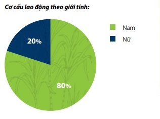 Làm việc tại công ty ông Đặng Văn Thành được trả lương bao nhiêu? - Ảnh 4.