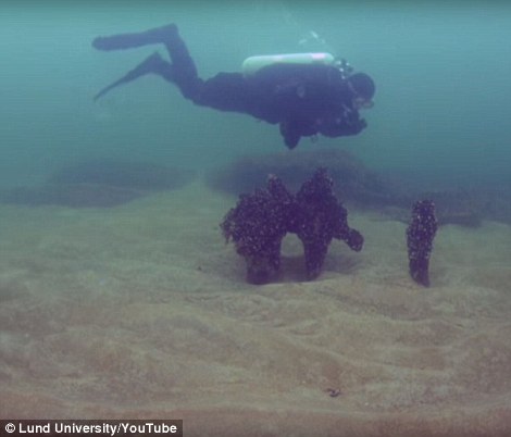 Thợ lặn phát hiện điều kỳ lạ 9.000 năm tuổi dưới đáy biển Thụy Điển - Ảnh 3.