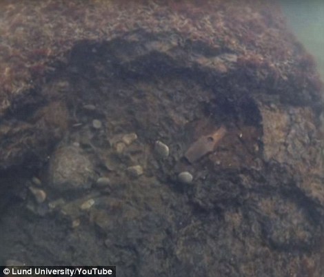 Thợ lặn phát hiện điều kỳ lạ 9.000 năm tuổi dưới đáy biển Thụy Điển - Ảnh 4.