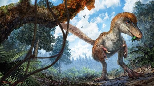Đuôi khủng long 99 triệu năm tiết lộ bí ẩn kinh ngạc - Ảnh 3.