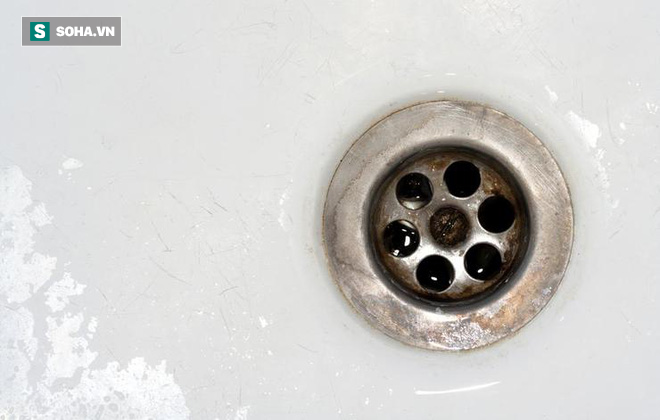 8 lỗi khi rửa bát đĩa gây hại sức khỏe ai cũng có thể mắc - Ảnh 4.