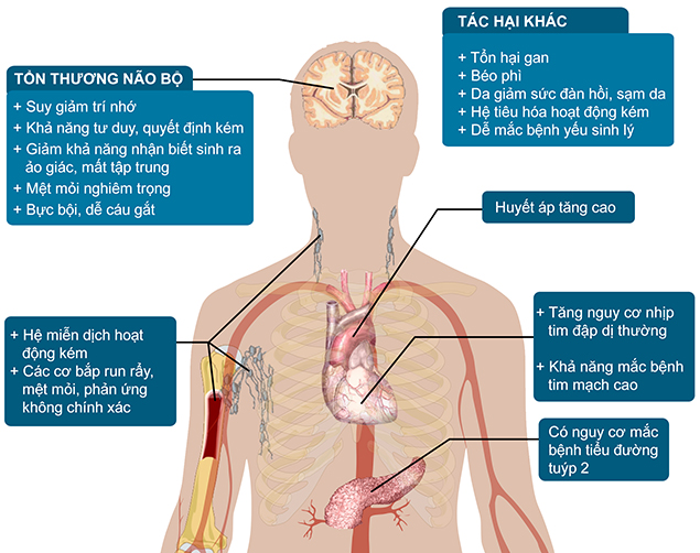 Không muốn gan chết mòn, dù bận làm gì cũng gác lại để đi ngủ vào khung giờ vàng - Ảnh 1.