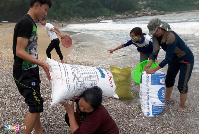 Hàng tấn lộc trời chất đống ở bờ biển Hà Tĩnh, người dân kiếm cả triệu/ngày - Ảnh 3.